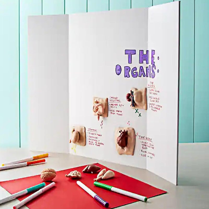 Rsgift 4 Pcs Tri-fold Poster Boards 48 x 36 inches, Premium Corrugated Presentation Boards with Double Sided Tapes,Display Boards for School Project,Exhibitions, Business Presentation - Image 5